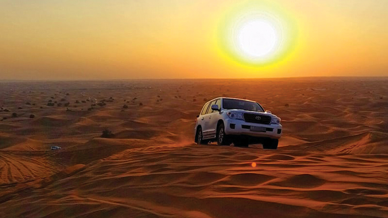 Morning desert safari in Dubai